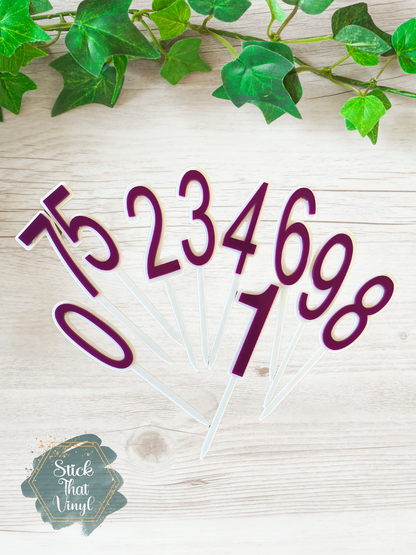 Number Acrylic Cake Toppers