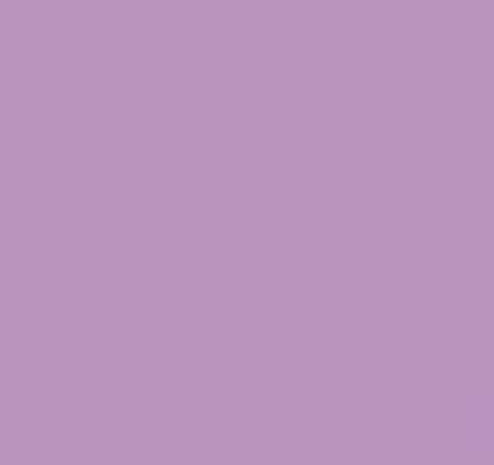 Oracal Matte 651 Permanent Vinyl - Lilac from stick that vinyl australian vinyl supplier