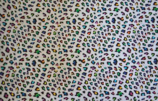 Rainbow Leopard Adhesive Vinyl